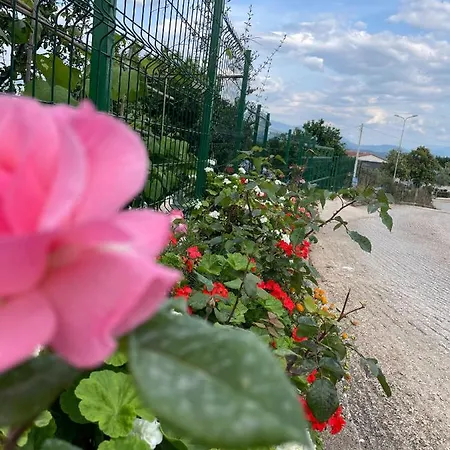 Sky דירה